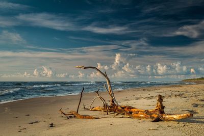 Scenic view of sea against cloudy sky