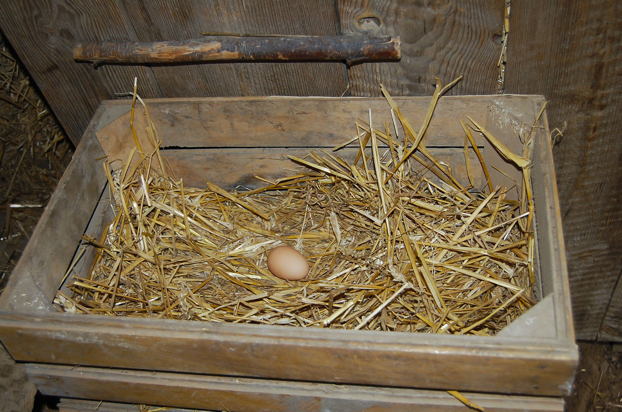 CLOSE-UP VIEW OF HAY IN SHELF