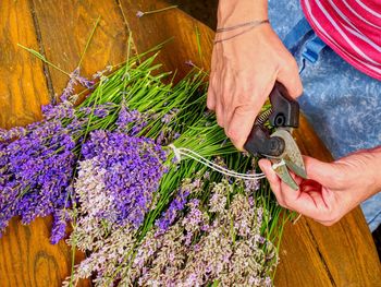 Girl hands with scissors and string preparing lavender flowers bunches on wooden table.