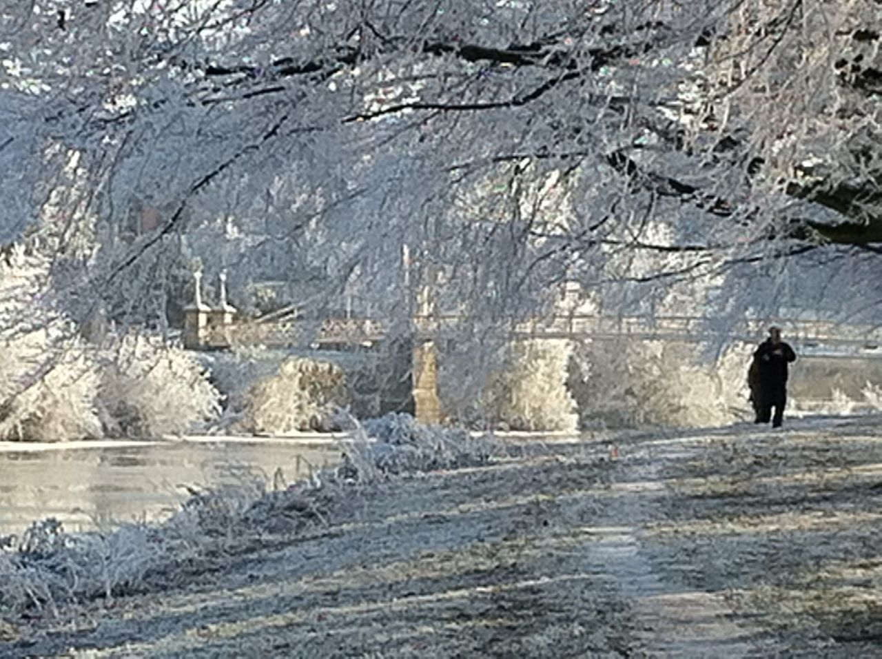 winter, bare tree, men, snow, mountain, cold temperature, walking, full length, rear view, day, weather, lifestyles, nature, unrecognizable person, built structure, architecture, leisure activity, road