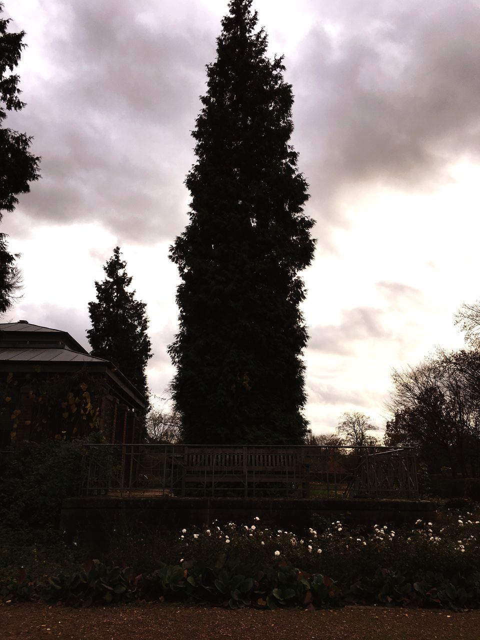 sky, tree, cloud - sky, cloudy, built structure, architecture, low angle view, cloud, growth, nature, bridge - man made structure, overcast, sunset, silhouette, connection, building exterior, weather, outdoors, tranquility, no people