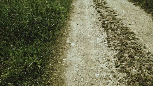 View of road