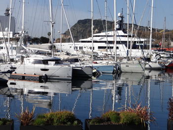 Sailboats moored in harbor