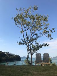 Tree by lake against sky