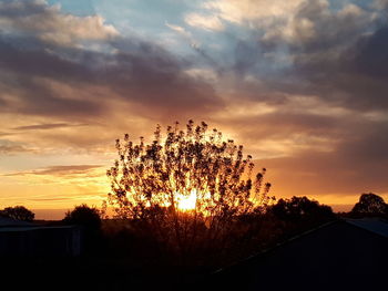 Low angle view of silhouette trees against sky during sunset