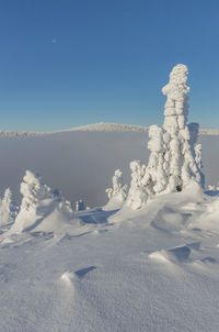 Scenic view of snow covered landscape