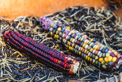 Close-up of corns on hay