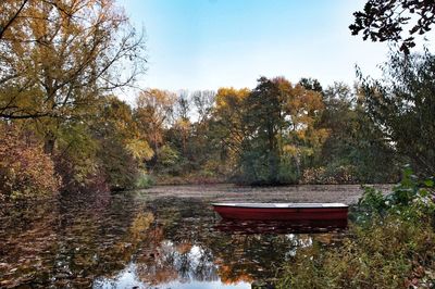 Scenic view of lake in forest during autumn