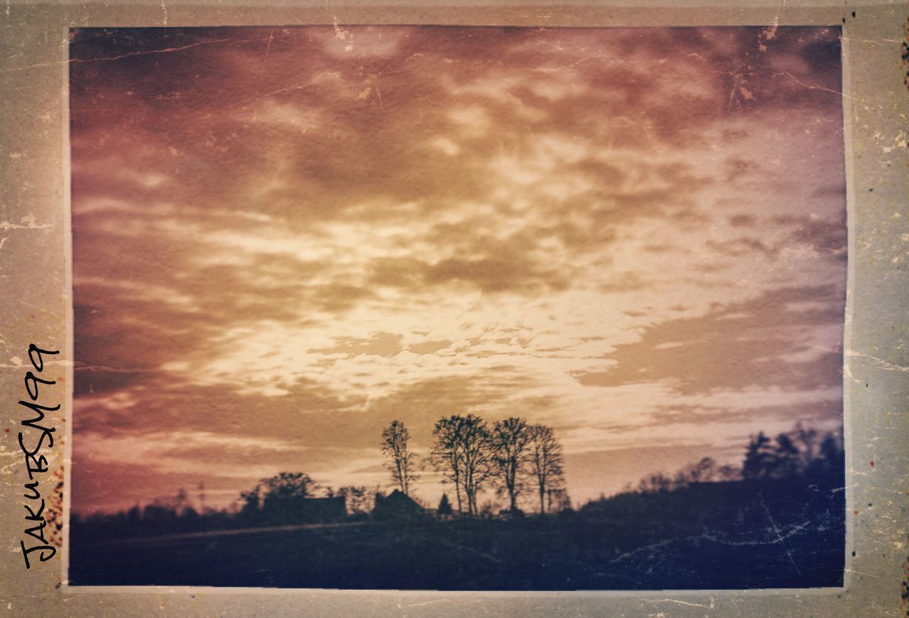 SILHOUETTE OF TREES AGAINST CLOUDY SKY