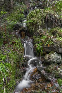 Stream flowing through rocks in forest