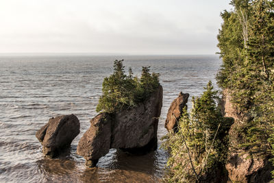 Scenic view of rocks in sea against sky