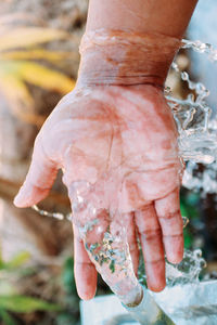 Cropped hand of person holding seashell