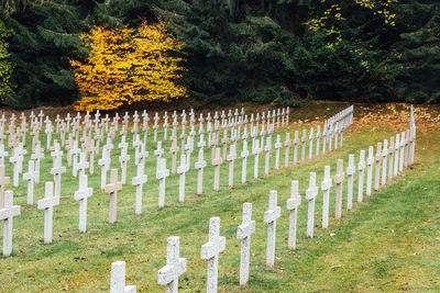 View of tombstones in cemetery