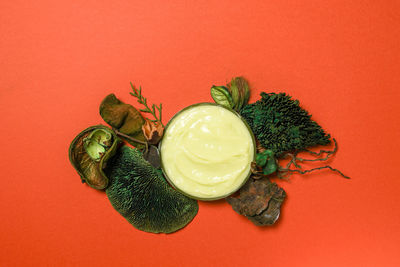 Texture of natural cosmetic cream for body care on a green leaf.