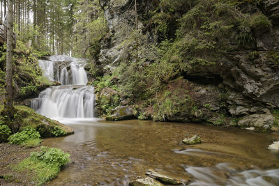 Waterfall in forest