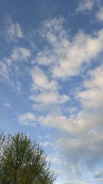 Low angle view of trees against cloudy sky