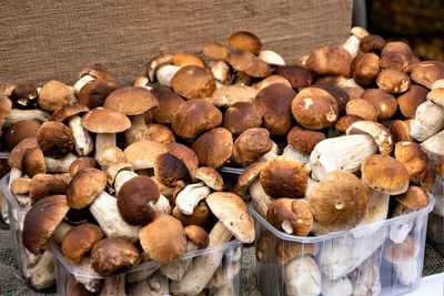 Porcini mushrooms for sale in small baskets in a street food market