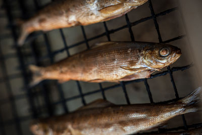 Close-up of fish on barbecue grill