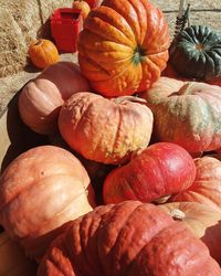 Full frame shot of pumpkins