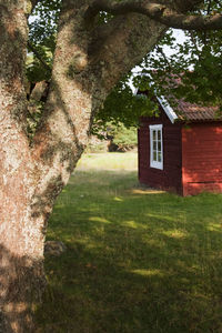 Trees growing on field by house