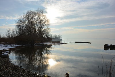 reflection