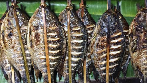 Close-up of fish for sale in market