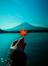 Midsection of person holding plant against lake