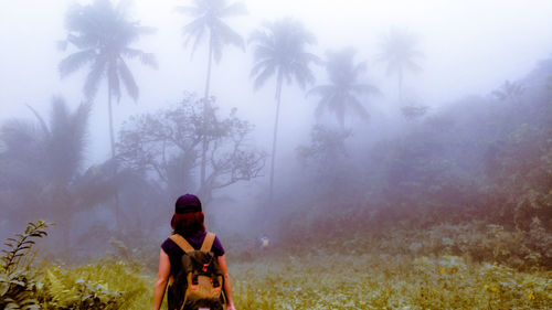 Rear view of man photographing against trees