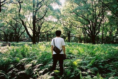 Rear view of man standing on tree