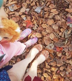 Low section of woman with autumn leaves fallen on pebbles