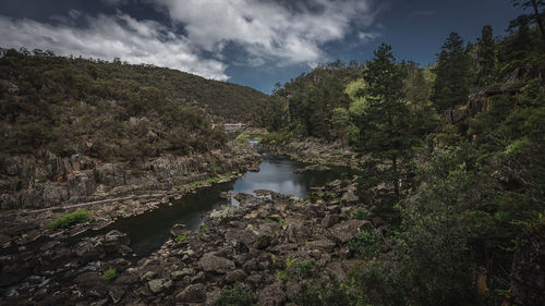 Scenic view of river amidst trees against sky