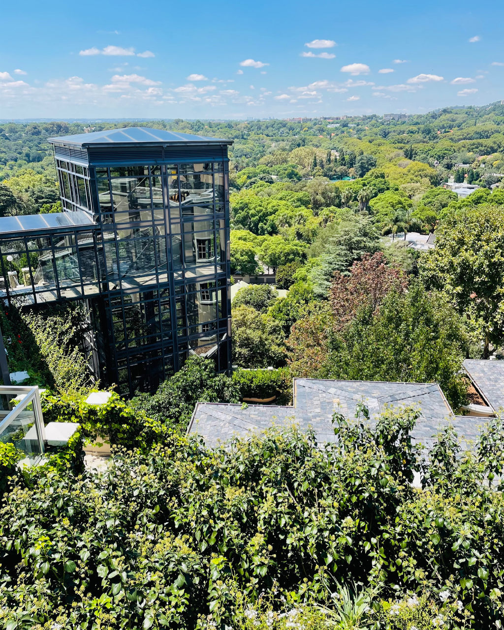 PLANTS AND TREES BY BUILDING