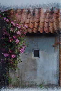 House window