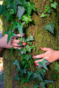 High angle view of hand holding plant