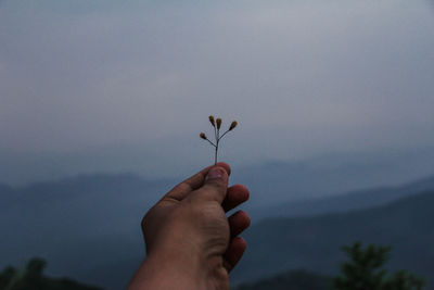 Close-up of hand holding plant against sky