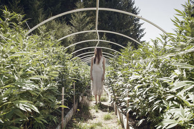 Woman looking away while standing in plant nursery