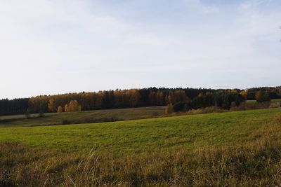 Scenic view of field against sky