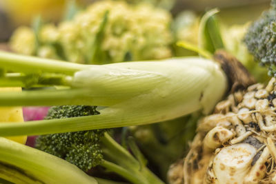 Close-up of vegetables