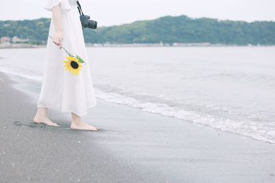 Low section of woman standing on beach