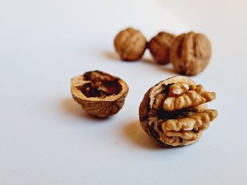 Close-up of cookies against white background