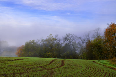 Herbstleuchten