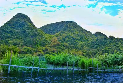 Scenic view of lake by trees against sky