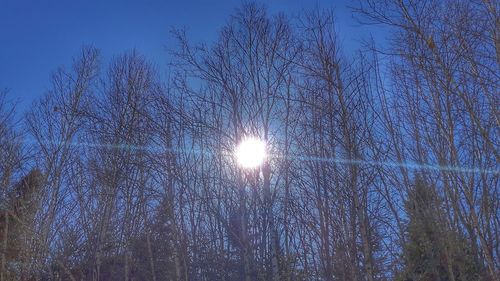 Low angle view of illuminated horse against sky