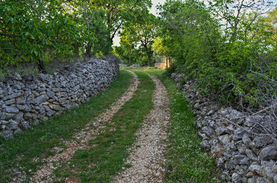 View of trees on landscape