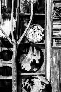 Close-up of a horse on rusty metal