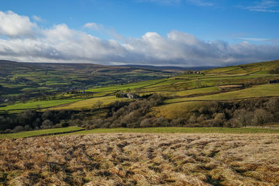 Scenic view of agricultural field against sky