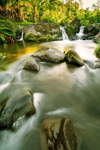 River flowing through rocks