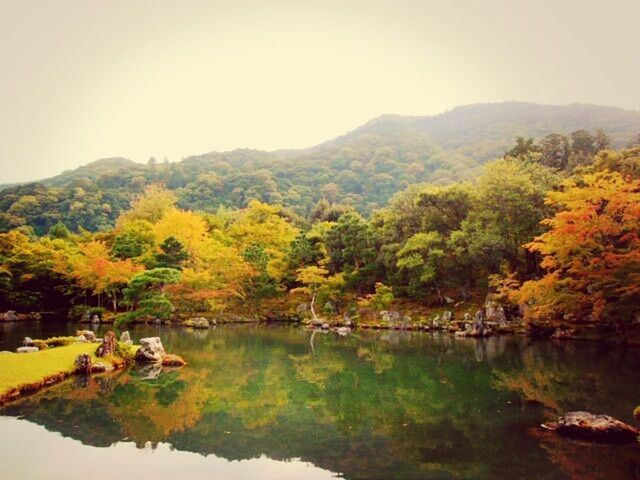 water, tree, tranquil scene, tranquility, autumn, scenics, reflection, beauty in nature, lake, change, clear sky, mountain, nature, idyllic, waterfront, river, growth, sky, season, non-urban scene