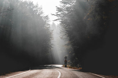 Road amidst trees in forest