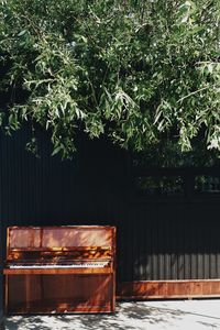 Scenic view of trees by plants